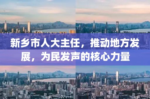 新乡市人大主任，推动地方发展，为民发声的核心力量