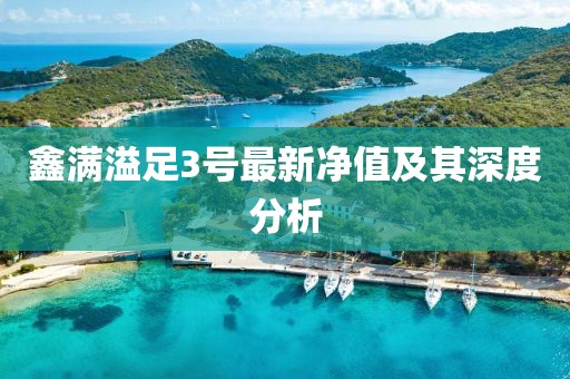 鑫满溢足3号最新净值及其深度分析