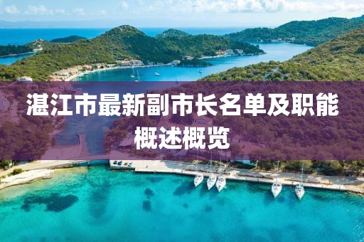 湛江市最新副市长名单及职能概述概览