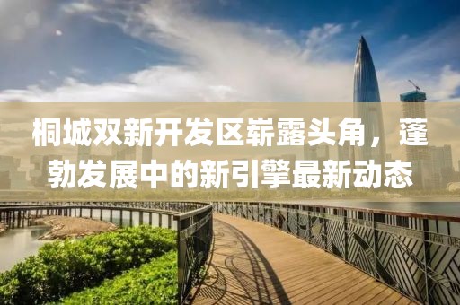桐城双新开发区崭露头角，蓬勃发展中的新引擎最新动态