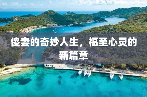 傻妻的奇妙人生，福至心灵的新篇章