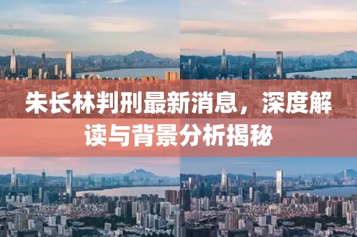 朱长林判刑最新消息，深度解读与背景分析揭秘