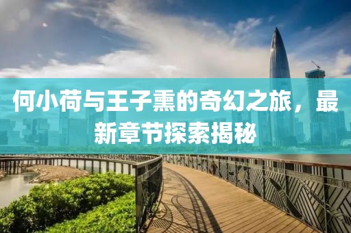何小荷与王子熏的奇幻之旅，最新章节探索揭秘