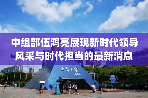 中组部伍鸿亮展现新时代领导风采与时代担当的最新消息