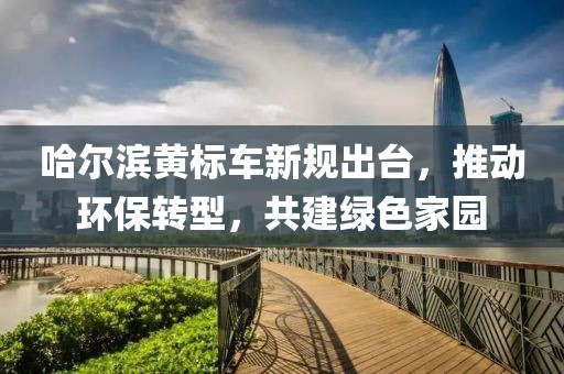 哈尔滨黄标车新规出台，推动环保转型，共建绿色家园