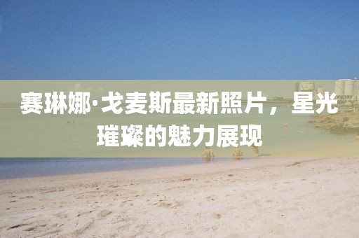 赛琳娜·戈麦斯最新照片，星光璀璨的魅力展现