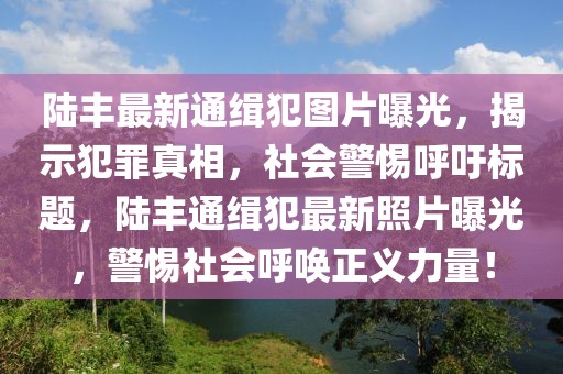 陆丰最新通缉犯图片曝光，揭示犯罪真相，社会警惕呼吁标题，陆丰通缉犯最新照片曝光，警惕社会呼唤正义力量！