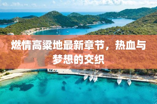 燃情高粱地最新章节，热血与梦想的交织