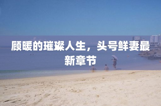 顾暖的璀璨人生，头号鲜妻最新章节