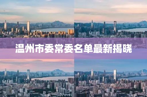 温州市委常委名单最新揭晓