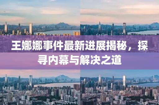 王娜娜事件最新进展揭秘，探寻内幕与解决之道