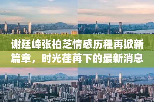 谢廷峰张柏芝情感历程再掀新篇章，时光荏苒下的最新消息
