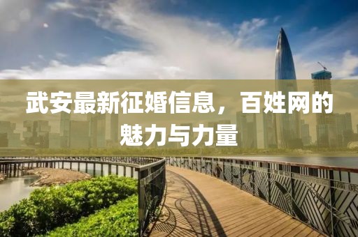 武安最新征婚信息，百姓网的魅力与力量