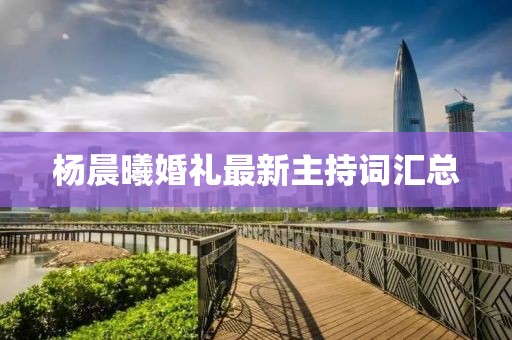 蝶翼天使 第18页