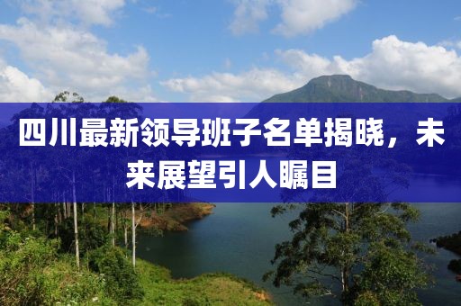 四川最新领导班子名单揭晓，未来展望引人瞩目