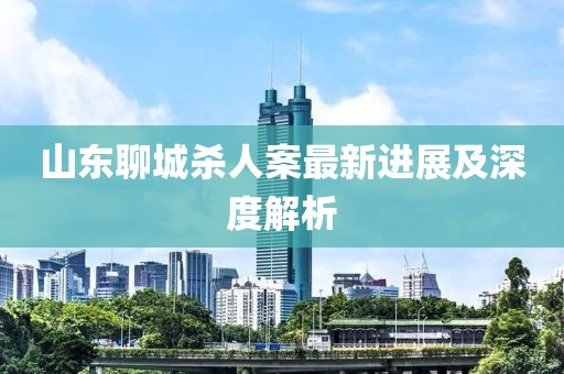 山东聊城杀人案最新进展及深度解析