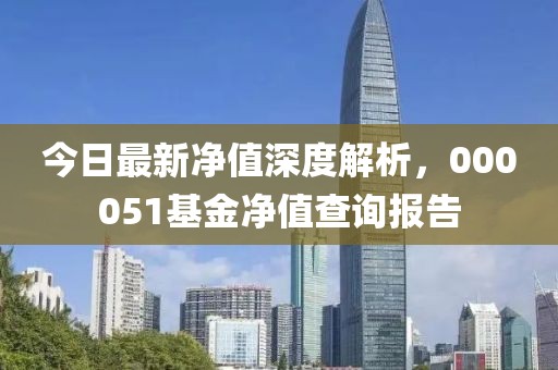 今日最新净值深度解析，000051基金净值查询报告