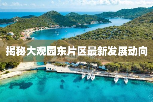 揭秘大观园东片区最新发展动向