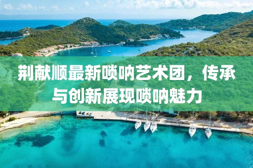 荆献顺最新唢呐艺术团，传承与创新展现唢呐魅力