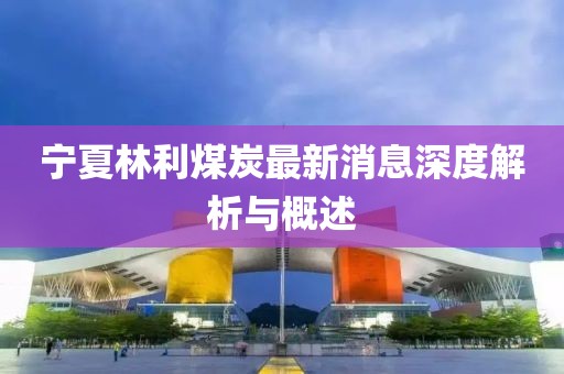 宁夏林利煤炭最新消息深度解析与概述