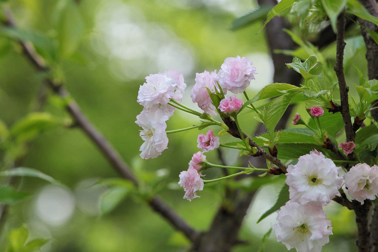 蜜饯儿 第29页