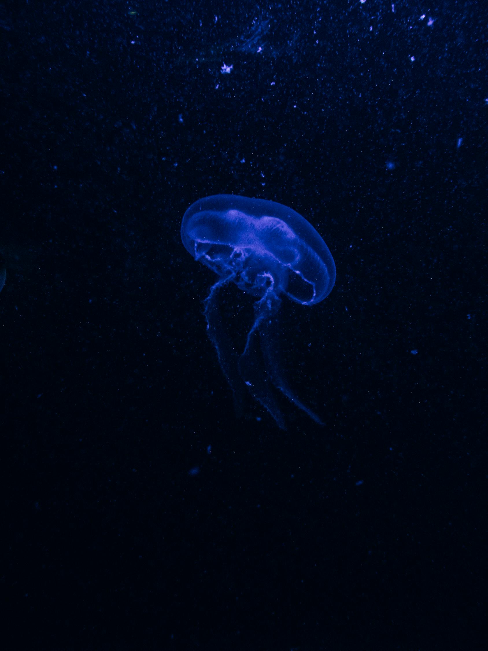 广东冠昊生物最新新闻及其动态分析