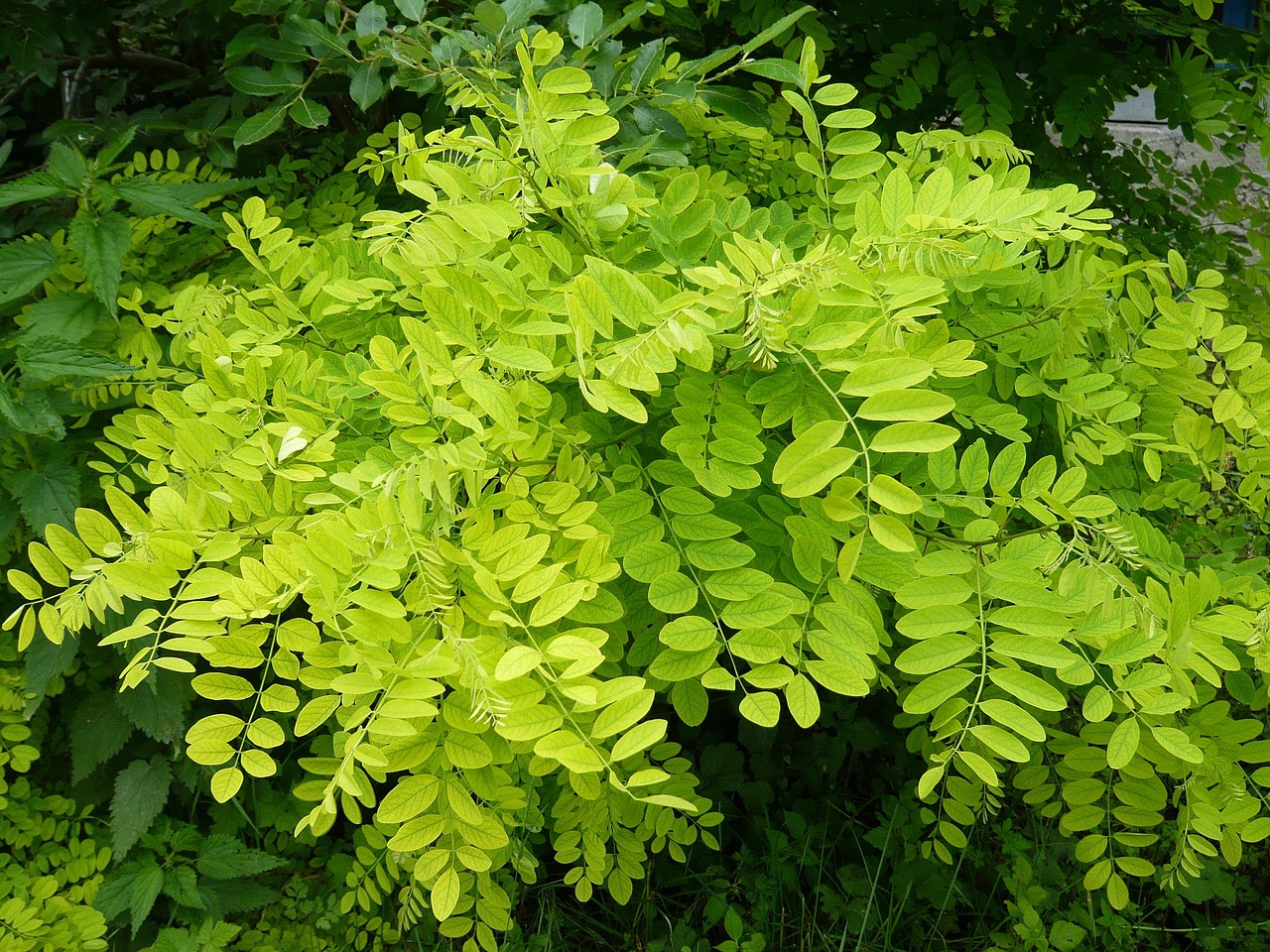雾涣风月 第17页