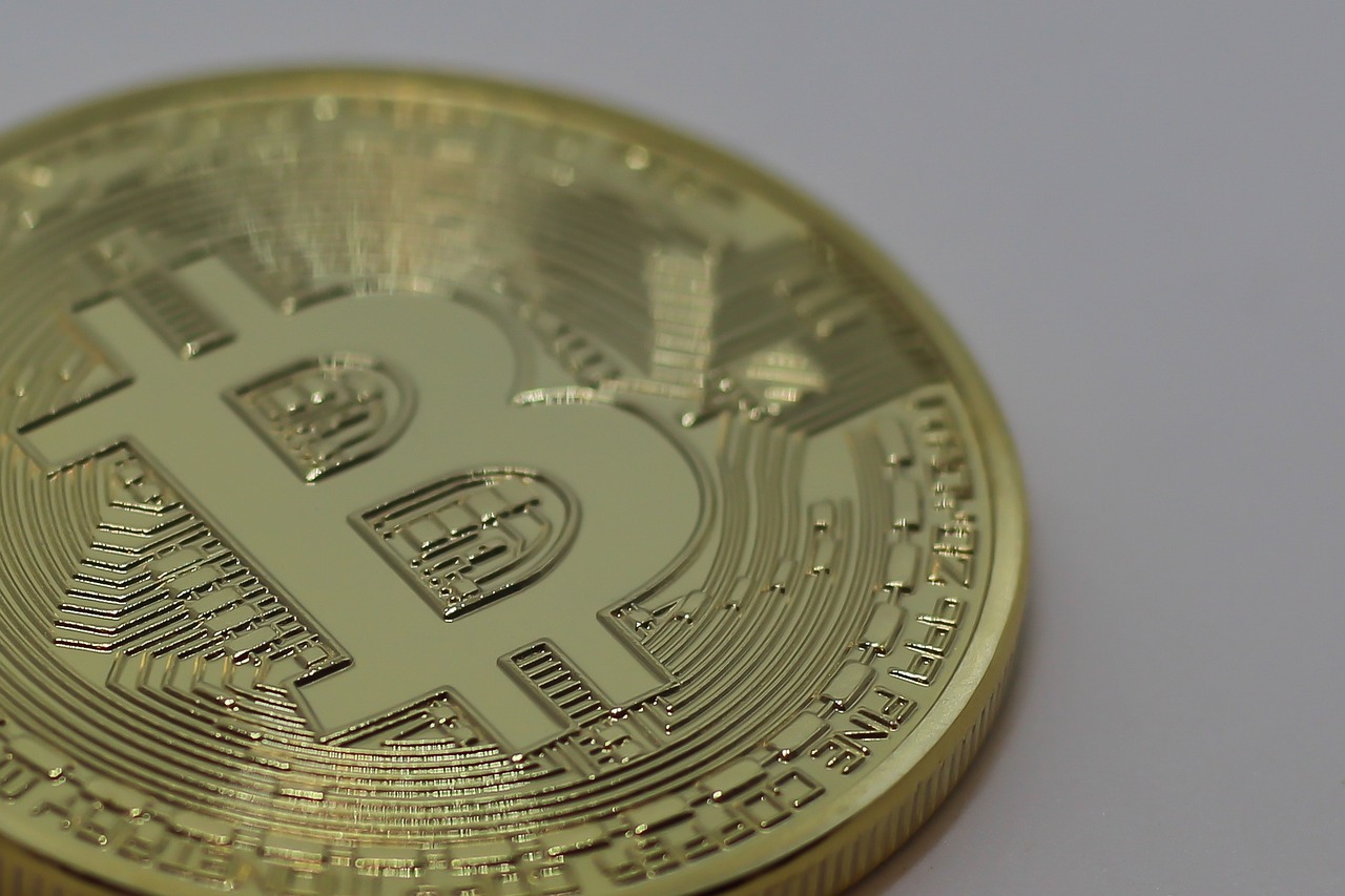 最新石金钱龟价格行情分析与趋势预测