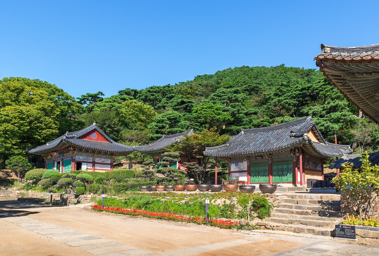 广饶四季花城，繁荣盛景与未来期待揭秘