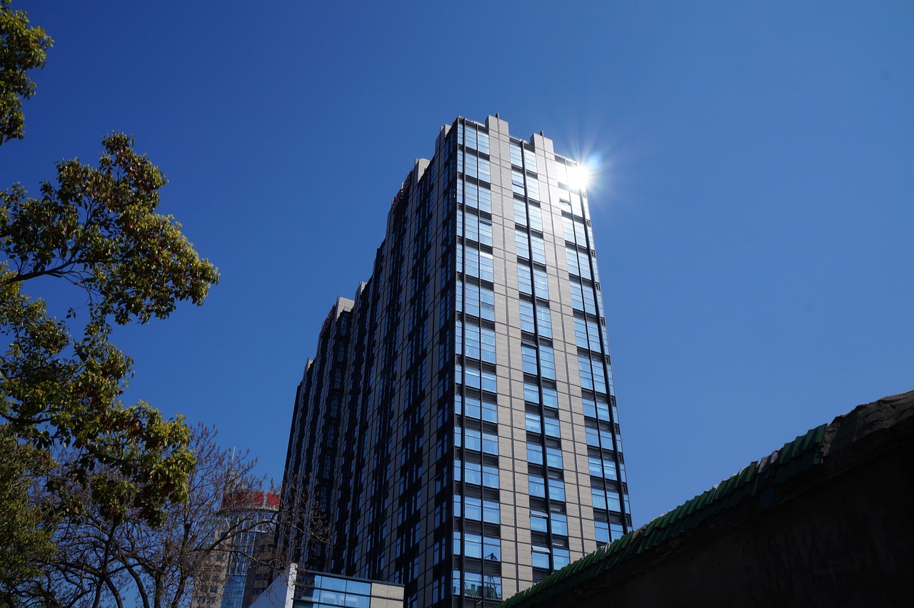 林口二手楼房最新发布，市场趋势与购房指南