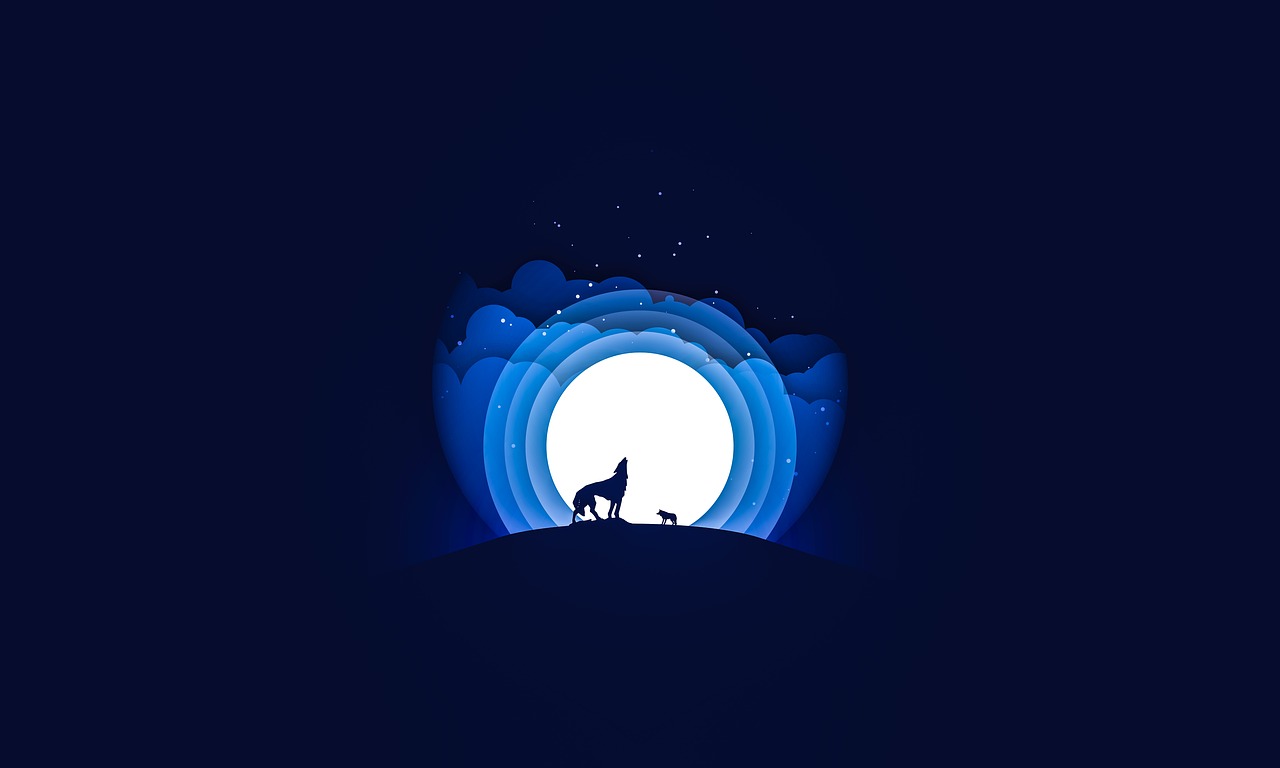 夜狼直播最新版本下载攻略，指南与体验分享