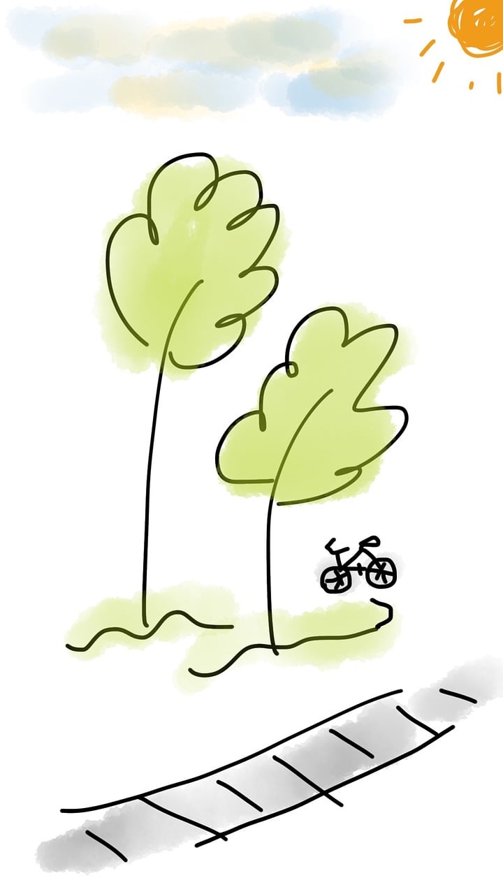 洛阳道北二路最新动态全面解读