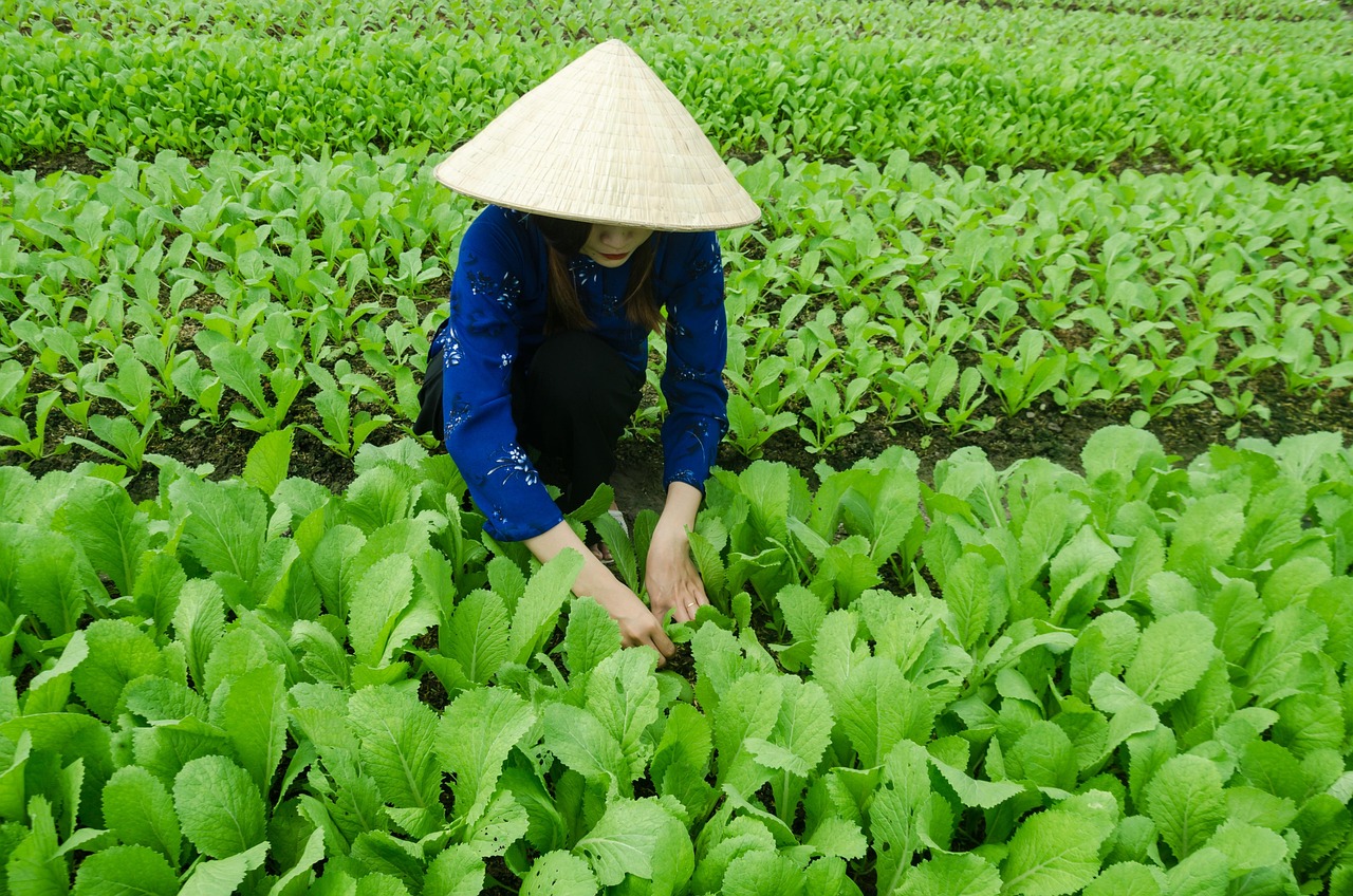 户户通四代机最新动态概览