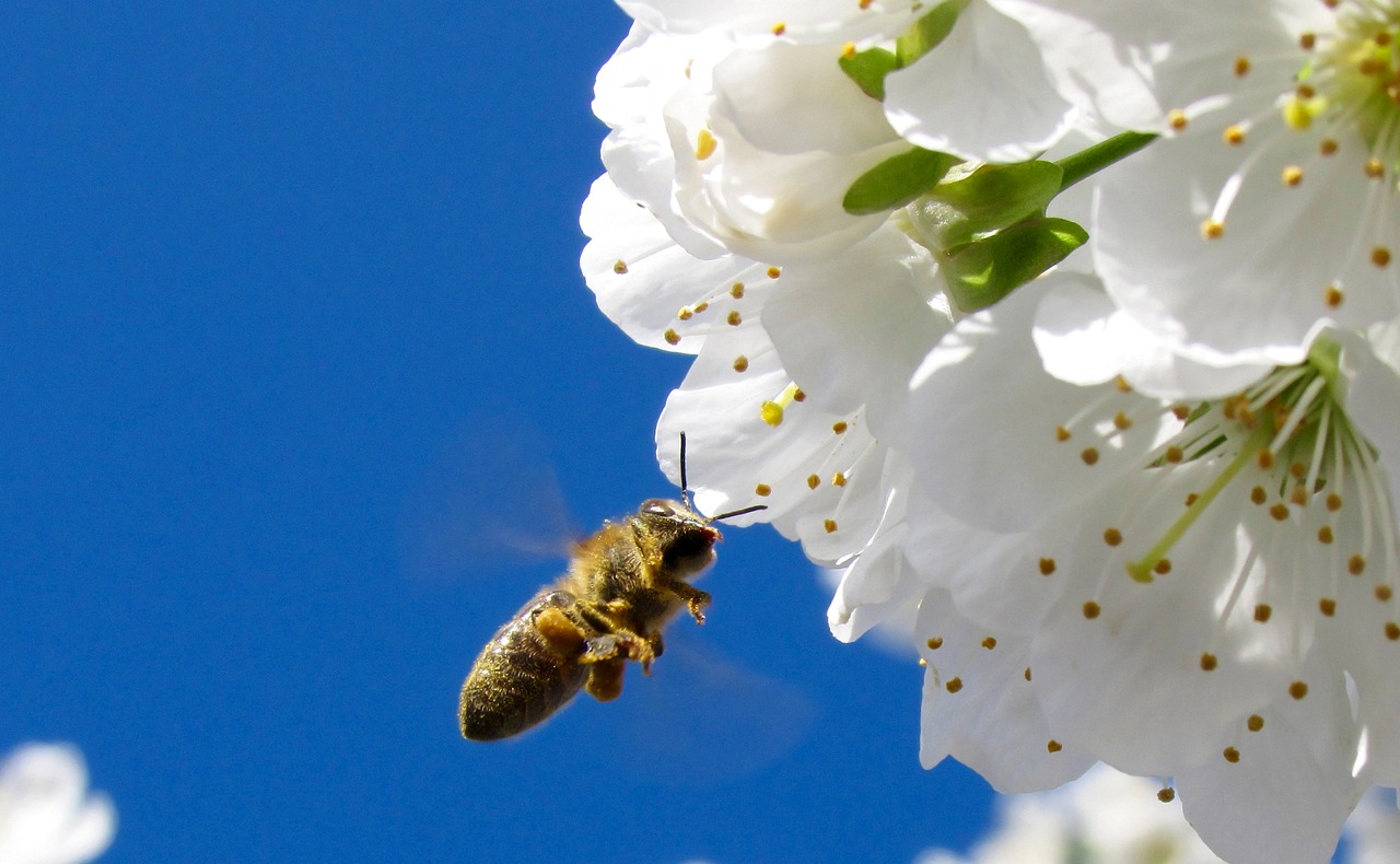 抢生第一案最新动态报道，最新消息全面解析